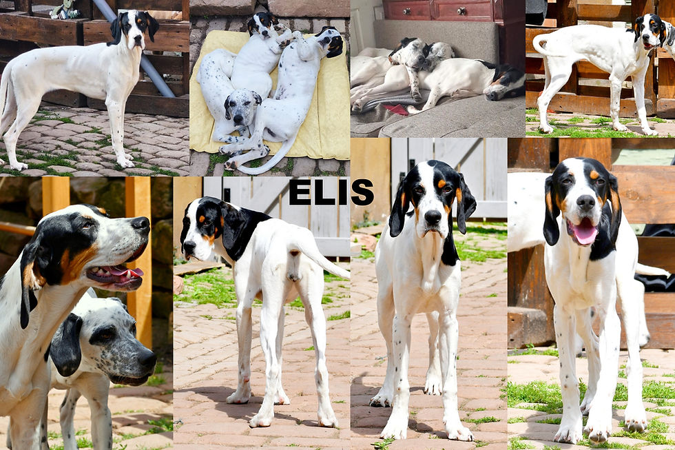 💝Elis🍀 Lilo 🍀Zelda💝