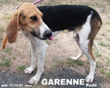 garenne.jpeg