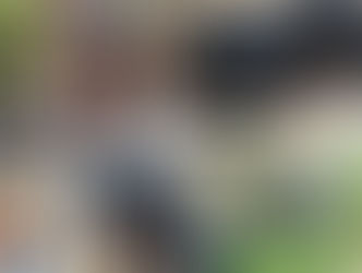 ❤️Runa sucht ihr Körbchen❤️