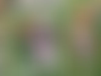 KATJA hat ihr Zuhause gefunden🍀