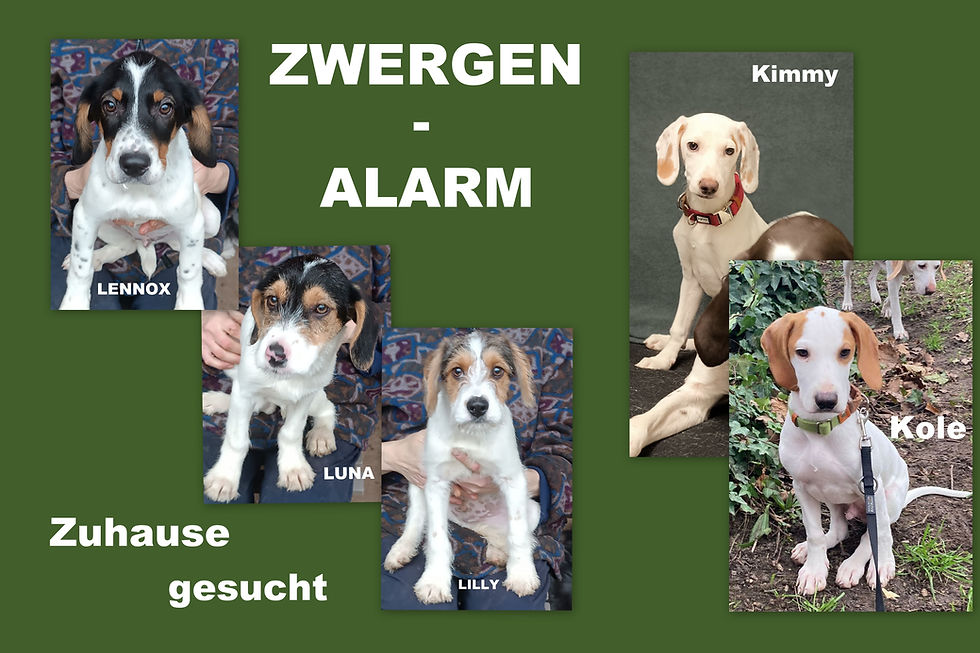 ❤️Lennox Luna Lilly Kimmy Kole❤️