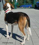 lena-6.jpg