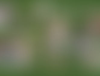 🍀🙏Hilfe für Reisetickets 🙏🍀