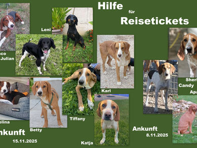 🍀🙏Hilfe für Reisetickets 🙏🍀