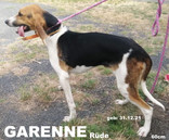 garenne-2.jpeg