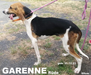 garenne-2.jpeg