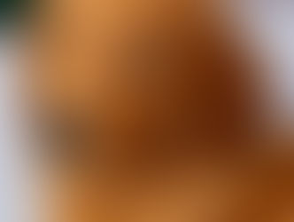 ❤️🍀❤️Die Youngsters❤️🍀❤️