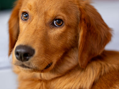 ❤️🍀❤️Die Youngsters❤️🍀❤️