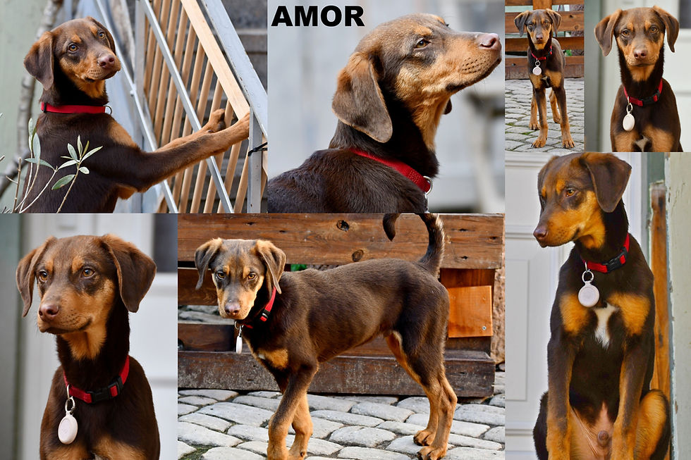 ❗🙏 Heute - Spenden bis 25,- Euro werden verdoppelt🙏❗