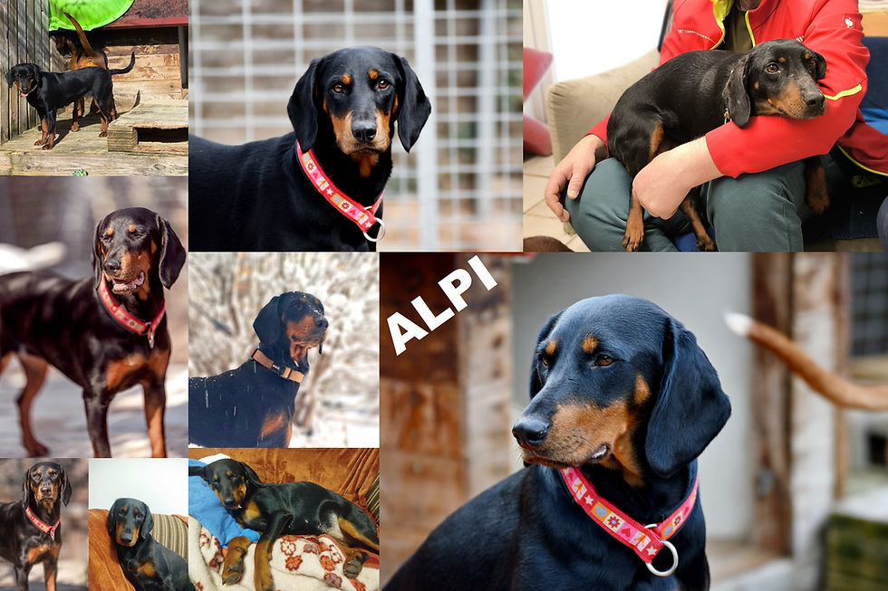 ALPI
Geb.:12.12.2024