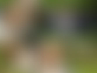 ❤️🍀ARKADI 🍀❤️