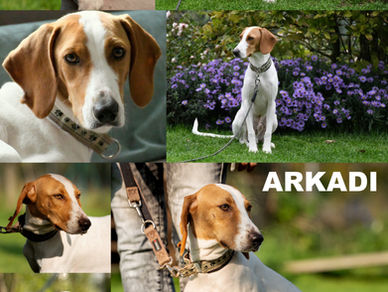 ❤️🍀ARKADI 🍀❤️