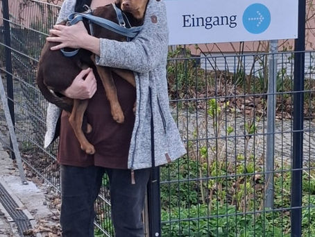 ❤️❤️❤️AMOR sagt Danke ❤️❤️❤️