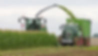 AGRICULTURA