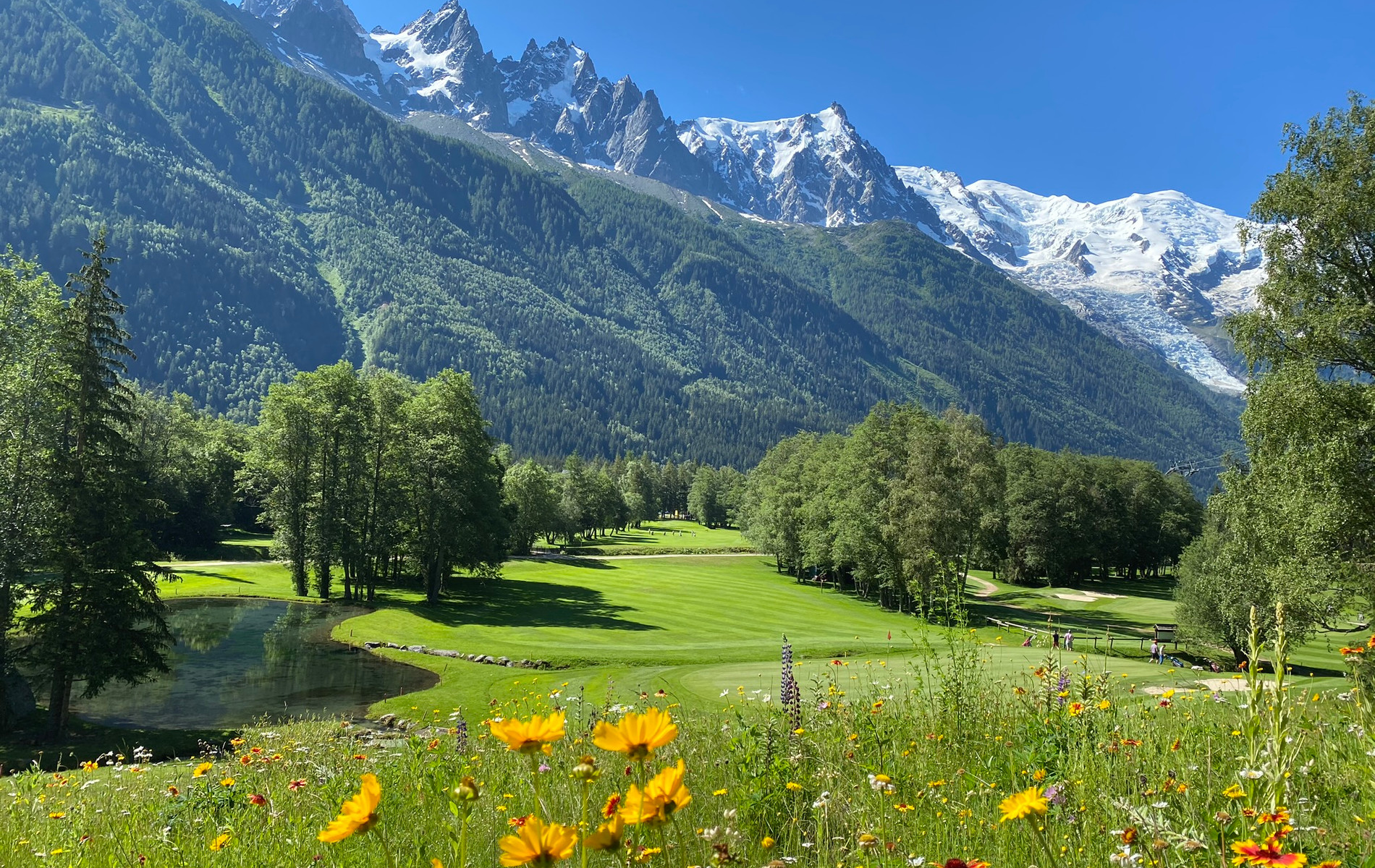 Golfreise ved Golf Club de Chamonix, Mont Blanc
