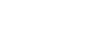 footprint.png