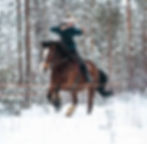 Challenge Accepted – Winter Training Camp for Horseback Archers 4 days