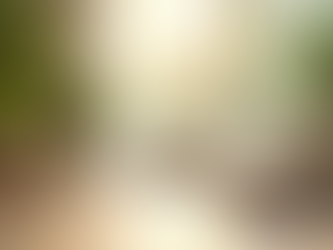 Saúde Integrada: Benefícios da Clínica Equilibre