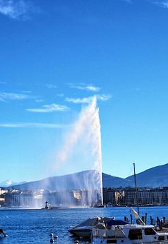 Geneva Omnia.jpg