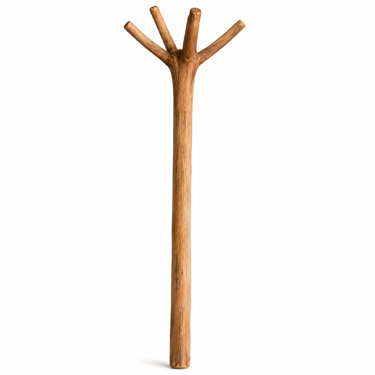 Molinilho Ancestral M