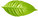 Única folha verde