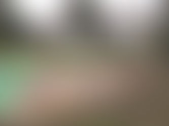 VIDEO Na bosonohý chodník vyzbierali najviac šišiek a gaštanov na Levočskej