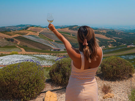 DAOU Vineyards – ⭐️⭐️⭐️⭐️