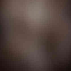 fall flowers kissed with frost