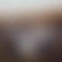 family of 4 during family photos