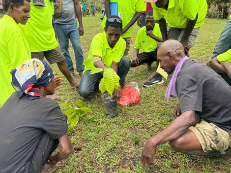 Planting Hope: How PNG’s Young Farmers Are Leading a Climate-Smart Revolution in Papua New Guinea 