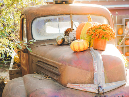 Fall fun at Cox Farms