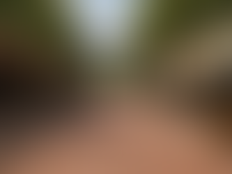 AI vs. Photographers – Murphy Ave Edition