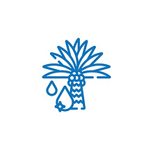 ICON-01.jpg