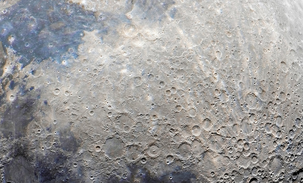 image-capture (2).png