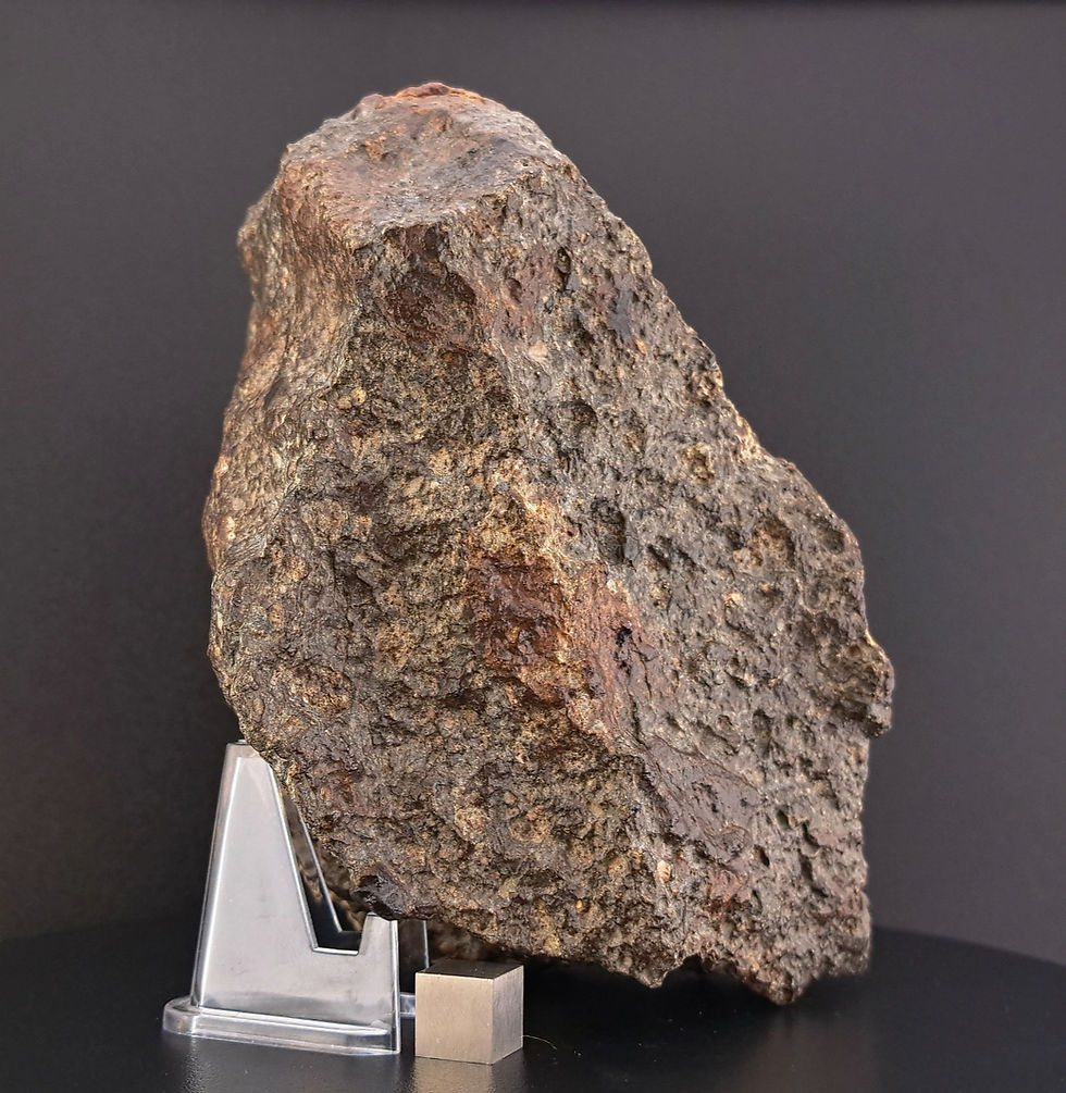 섬네일: NWAxxx Unclassified Chondrite Meteorite Specimen