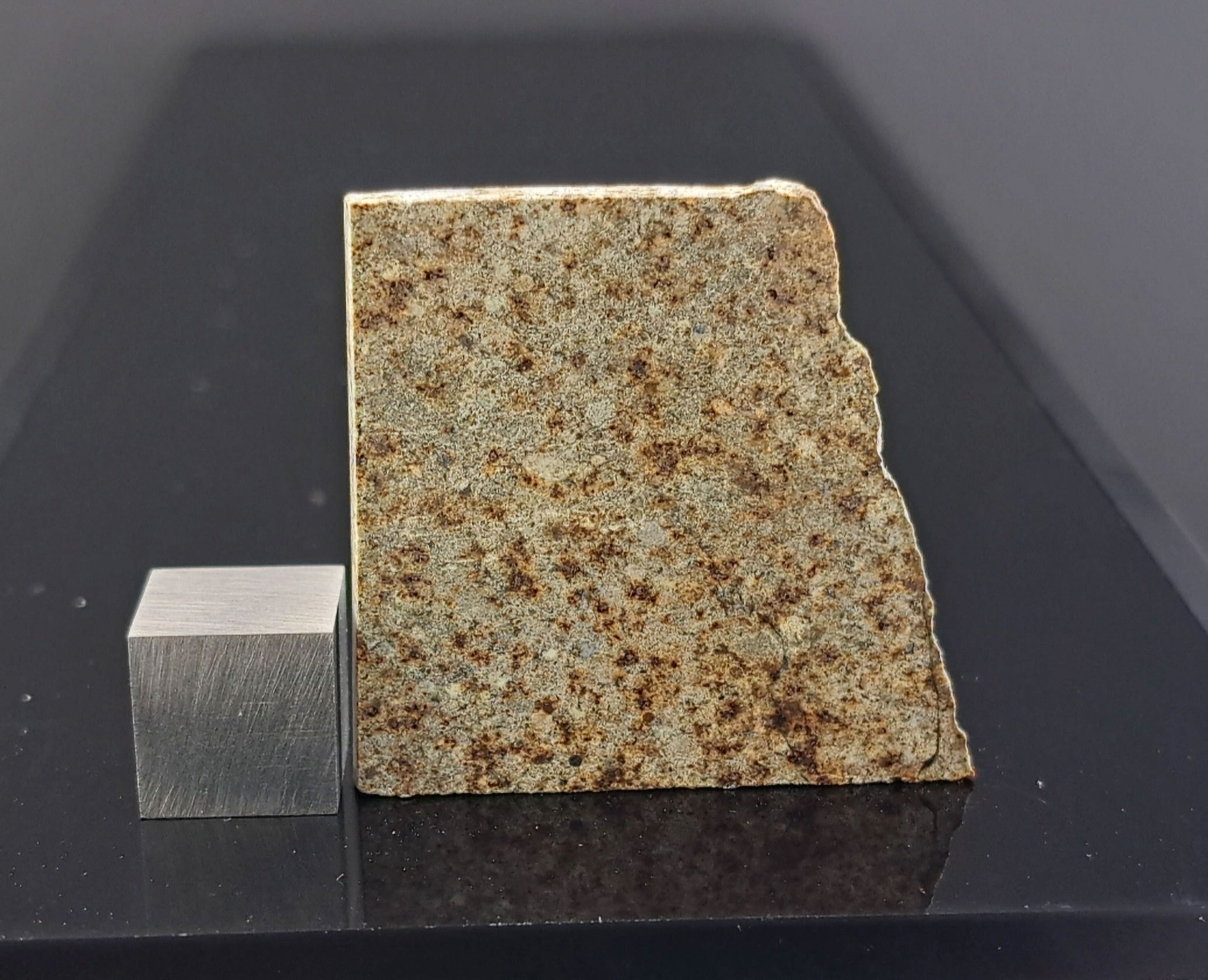 Bechar 002 H6 meteorite specimen