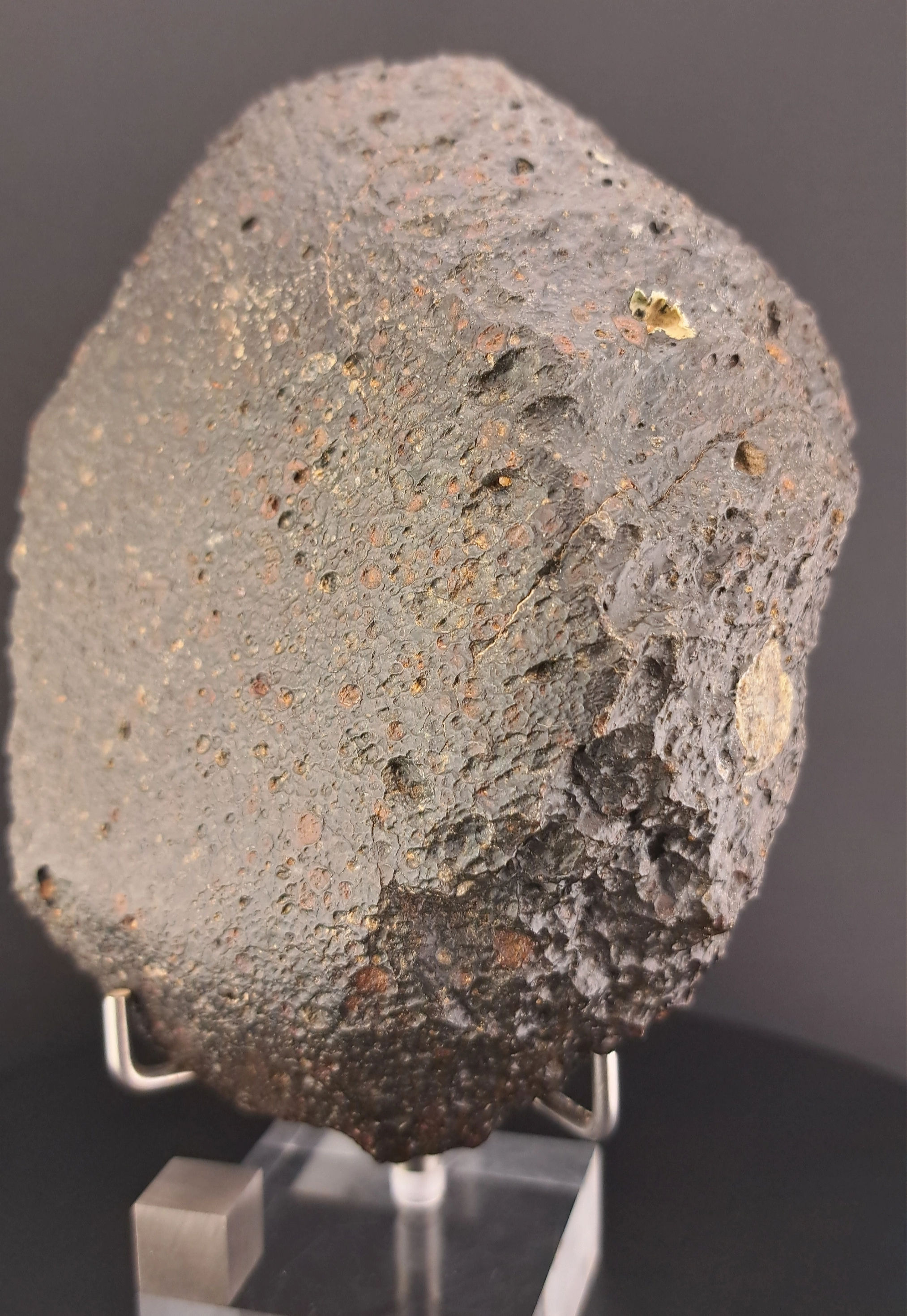 NWA 17194 - 632.20 g - CVred3 Meteorite Specimen
