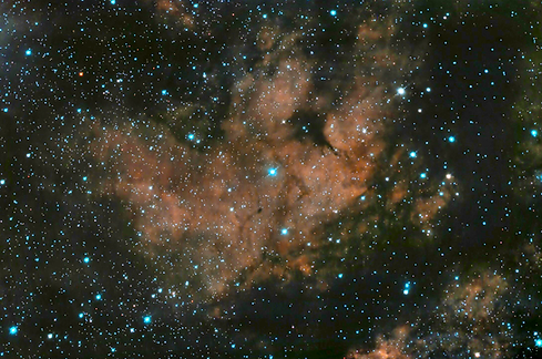 Sadr region in Cygnus—diffuse hydrogen emission and dark filaments around Gamma Cygni.