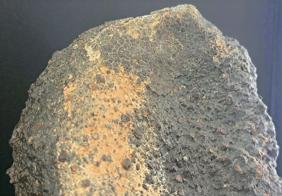 サムネイル： NWA 17194 CVred3 Carbonaceous Chondrite Meteorite