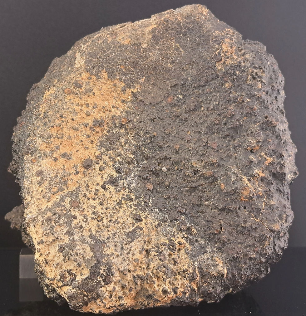 Thumbnail: NWA 17194 CVred3 Carbonaceous Chondrite Meteorite