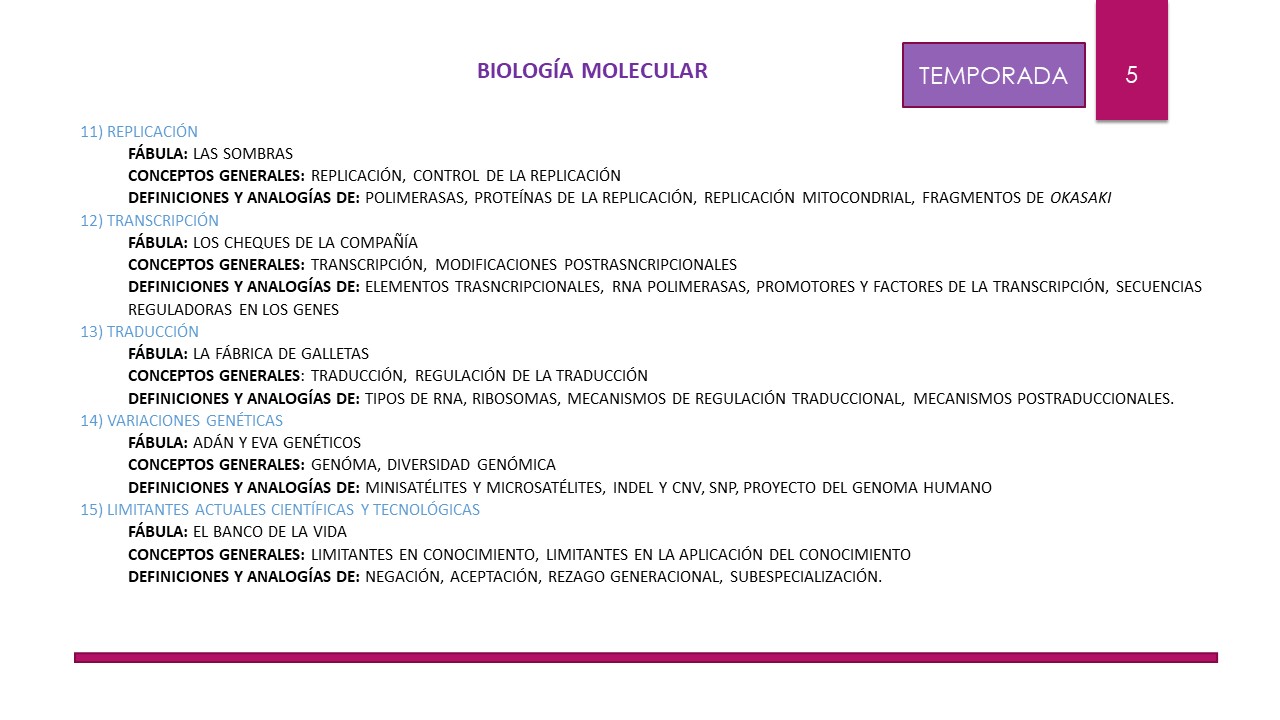 Diapositiva11