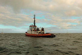 IMG_1729.jpg