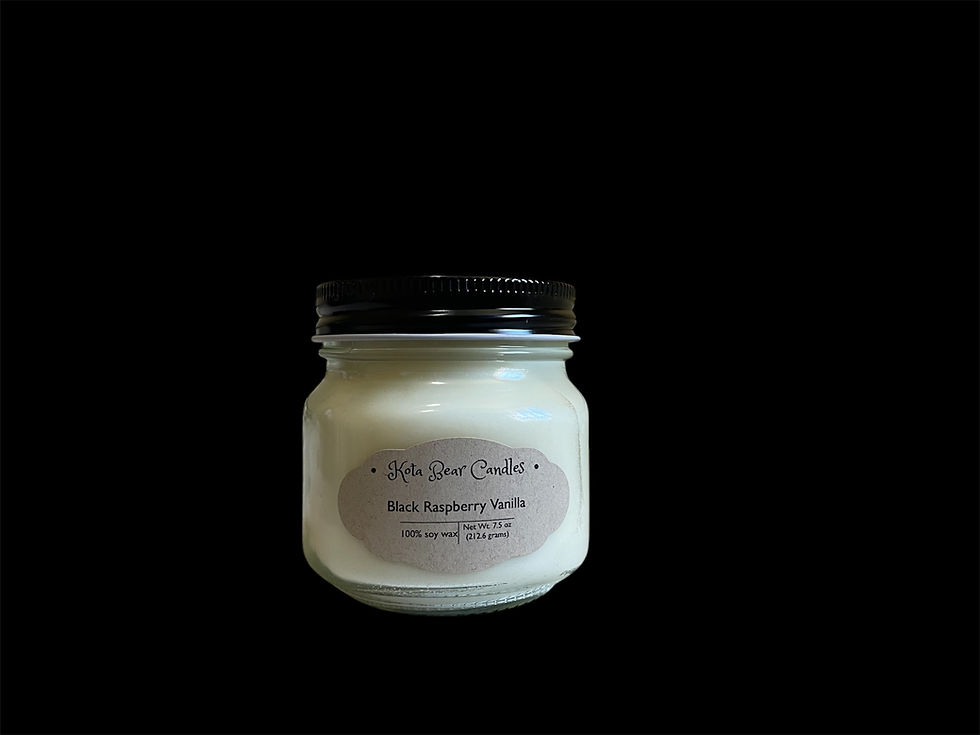 Black Raspberry Vanilla 7.5 oz scented candle.