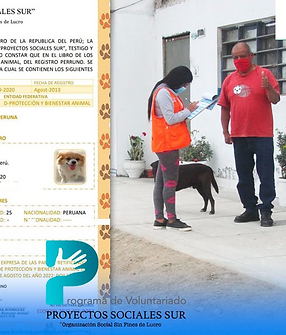 Captura de Pantalla 2024-09-01 a la(s) 5.42.47 p. m..png