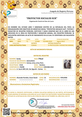 Captura de Pantalla 2024-12-28 a la(s) 12.16.20 p. m..png