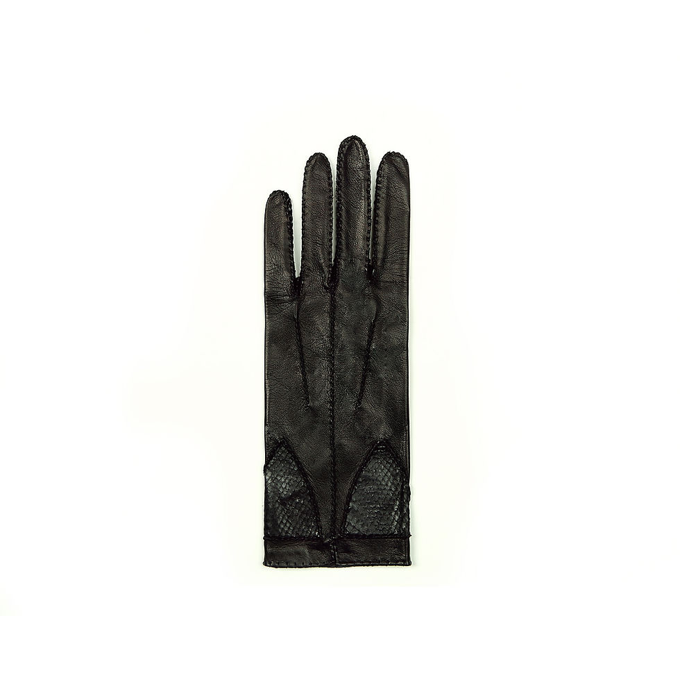 Thumbnail: Eularia gloves