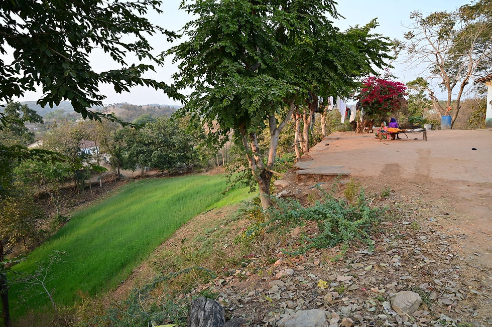 WhatsApp Image 2026-02-06 at 12.04.57 PM.jpeg