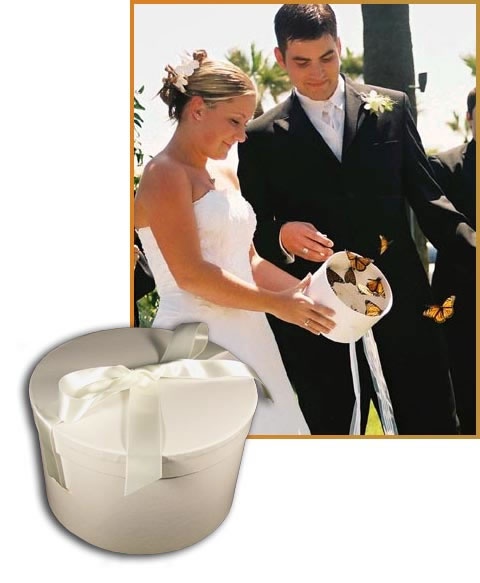 butterfly release to honor deceased loved ones at your wedding | InkedWeddings.com