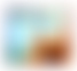 ‘Straight from the Horse’s&nbsp;Mouth’