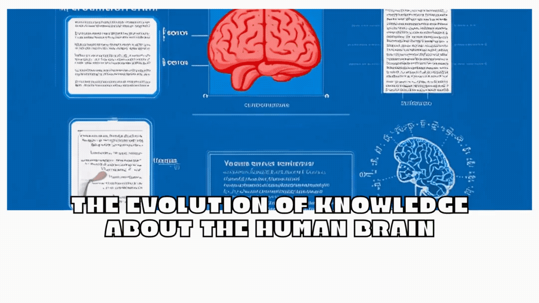 Vidéo Full HD 1920x1080  px.gif